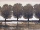 Stylecraft Norman Wyatt Laurel Grove Wall Art-1