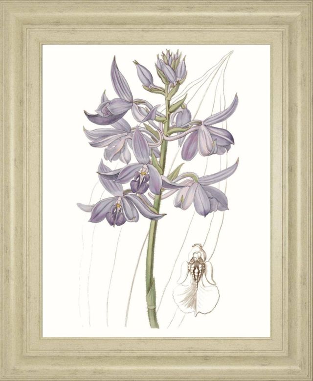 Classy Living Edwards Lavender Beauties III Wall Art-0