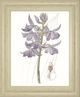 Classy Living Edwards Lavender Beauties III Wall Art-0