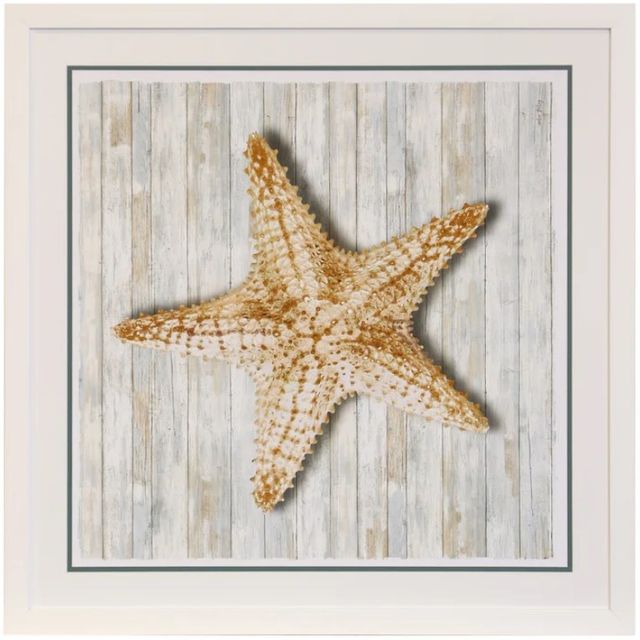 Stylecraft Seashells l Framed Print-0