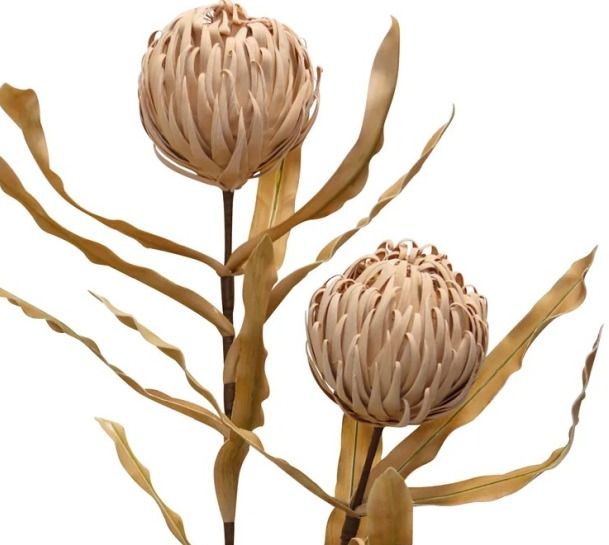 Harp & Finial® Thistle Stem Brown Foam Floral-1