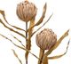 Harp & Finial® Thistle Stem Brown Foam Floral-1