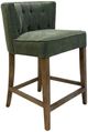 Nest Home Collections Charlie Forest Green/Gray Wash Counter Stool-0