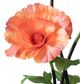 A & B Home Red Oversized Freestanding Silk Poppy Sculpture-3