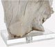 Surya Darby Wooden Table Lamp-1
