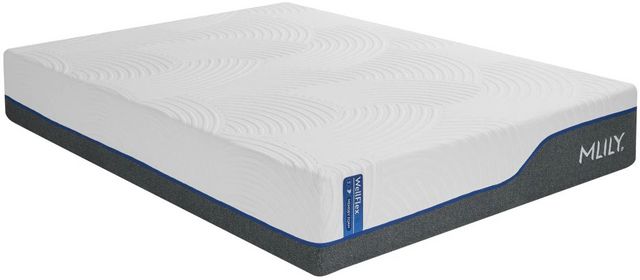 MLILY® Wellflex 1.0 Memory Foam 12" Firm Tight Top Queen Mattress in a Box