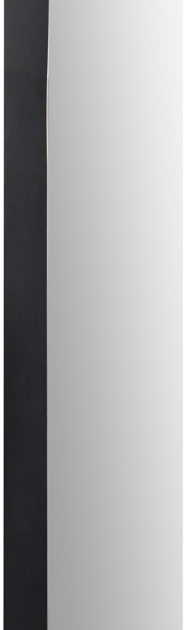 Renwil® Webster Black Wall Mirror-3