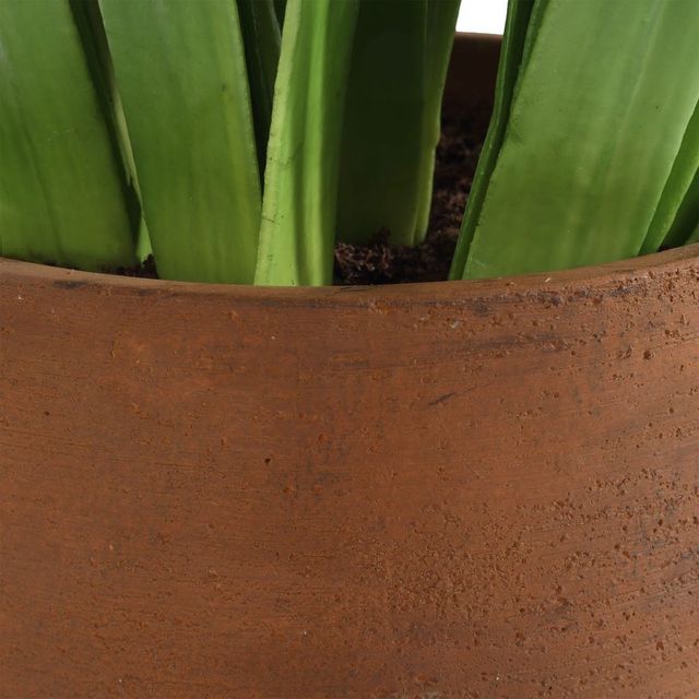 Uttermost® Sincerity Green/Terracotta/White Potted Hyacinth Plant-4