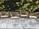 Signature Design by Ashley® Orchard Beach Beige Aluminum/Fabric Outdoor Arm Chair-1