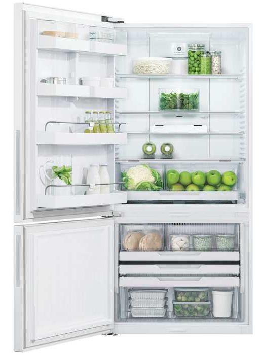 Fisher & Paykel Series 5 17.5 Cu. Ft. White Counter Depth Bottom Freezer Refrigerator-1