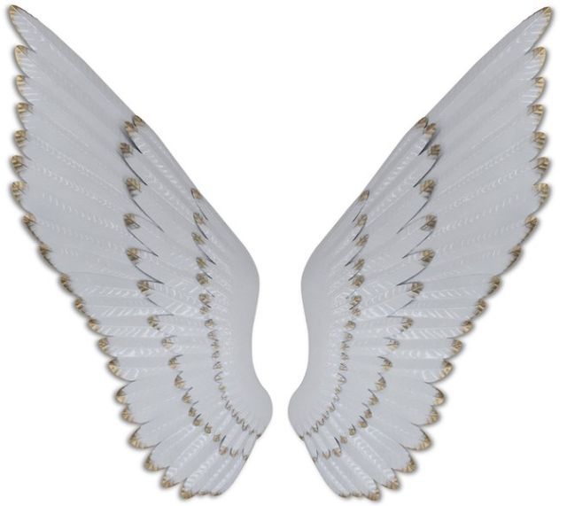 Classy Living Elegant Angel Wings Wall Decor-0