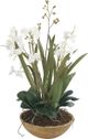 Uttermost® Moth Natural Brown Orchid Planter-0