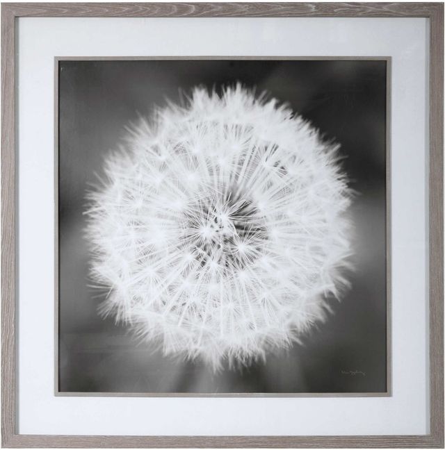 Uttermost® Majchrowicz Dandelion Seedhead Framed Print-0