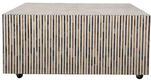 Home Trends & Design Taara Gray Septarian/White Coffee Table-1