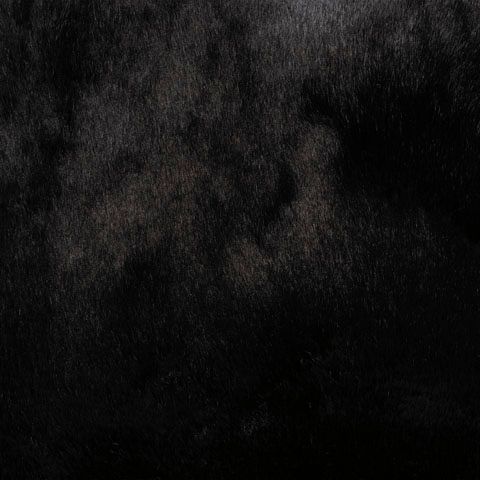 Signature Design by Ashley® Gariland Black Pillow-3