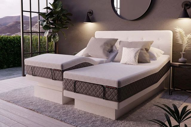 Beaudoin Dawn House Slate Full Adjustable Bed-1