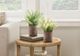 Monarch Specialties Inc. 2-Piece 12" Mulberry Grass Artificial Plant Set with 4" Brown Cement Pots-0