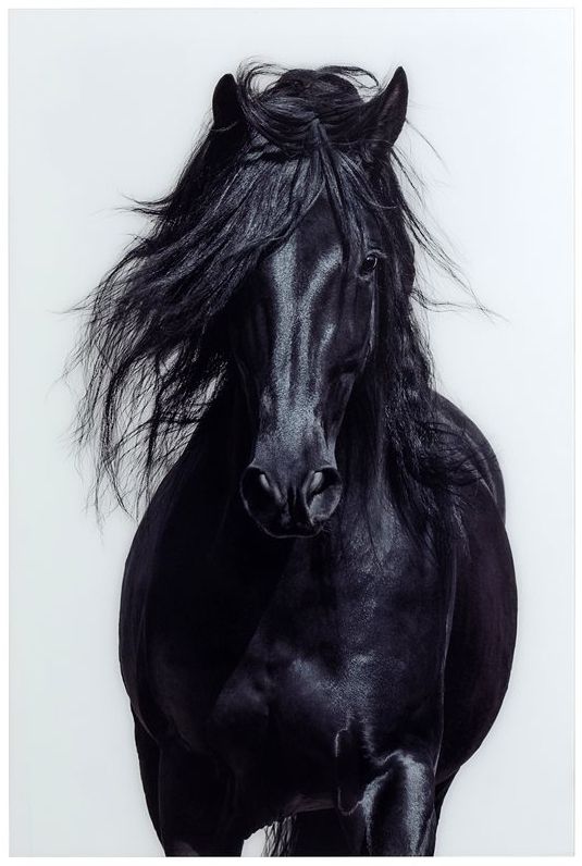 YHD Nature's Beauty III Wall Art-0