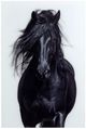 YHD Nature's Beauty III Wall Art-0
