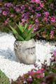 A & B Home Gray Gorilla Planter-4