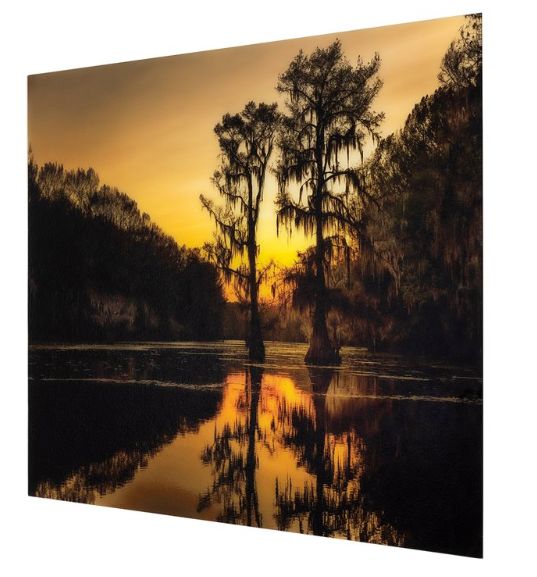 YHD Sunrise with Cypress Trees Wall Art-1