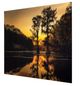 YHD Sunrise with Cypress Trees Wall Art-1