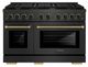 ZLINE Designer Collection Paramount 48" Black Satin Stainless Steel Gas Range with 8 Burner Cooktop and Convection Gas Oven-0