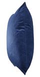 Stylecraft Dann Foley Lifestyle Dark Navy Pillow-2