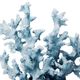 A & B Home Blue 10.6" Faux Coral Decorative Object-2