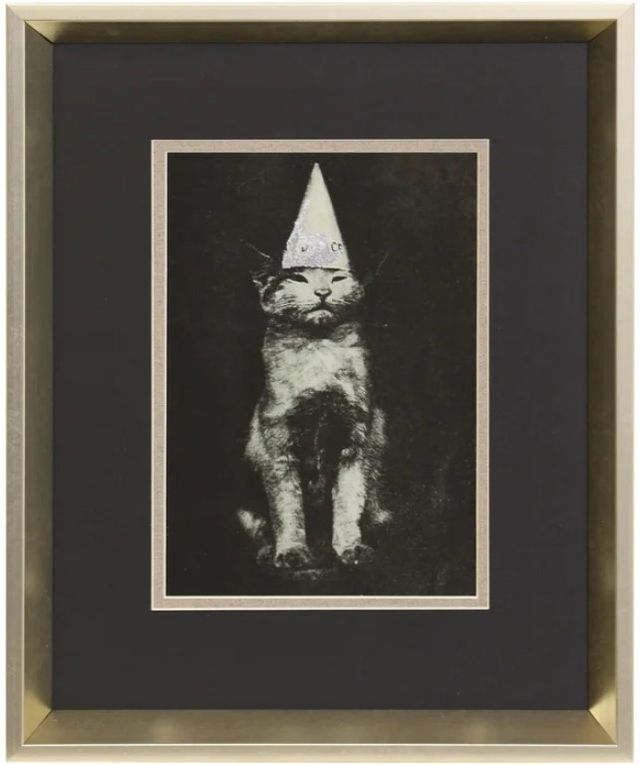 Stylecraft Cat Hat Framed Print-0