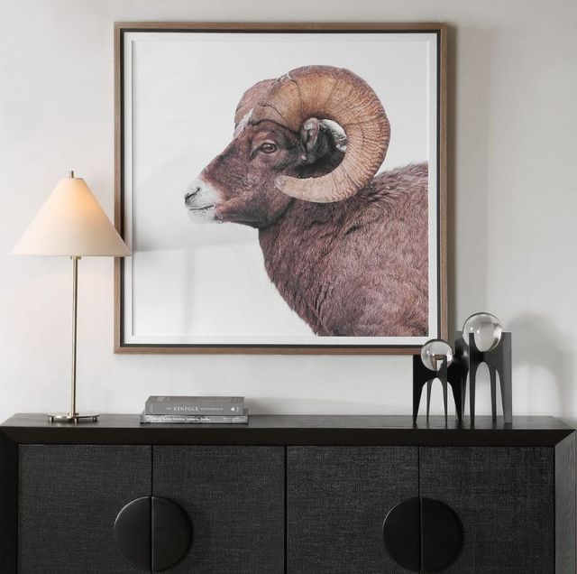 Uttermost® Big Horn Sheep Framed Print-1