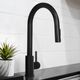 ZLINE Palisades Matte Black Pull Down Single Handle Kitchen Faucet-4