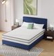 Furniture of America® Catmint 10" Memory Foam Plush Tight Top Queen Mattress-0
