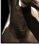 Crestview Collection Fayette 1 Brown Wall Art-1