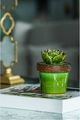 A & B Home Brown/Green 5" Ceramics Plant Decorative Object-4