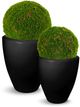 Le Present Moss Green 18" Faux Botanical Ball-4