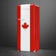 Réfrigérateur à congélateur supérieur de 24 po SMEG® de 9.9 pi³ - Drapeau Canada-2