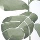 Uttermost® Fiddle Head 4-Piece Leaf Framed Print Art Set-5