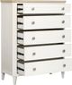 Magnussen Home® Echo Isles Driftwood/Sea Pearl Drawer Chest-1