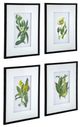 A & B Home 4-Piece Black/White Flower Wall Art Set-0
