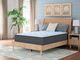 Sierra Sleep® By Ashley® Destin Cove 15" Hybrid Plush Tight Top Queen Mattress in a Box-1