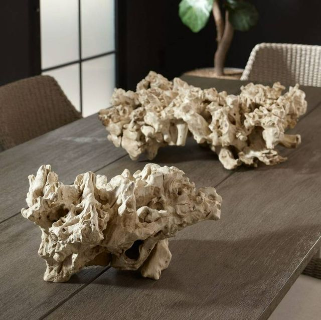 Uttermost® Elemental 2-Piece Bleached Root Indoor-Outdoor Sculpture Set-1