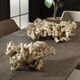 Uttermost® Elemental 2-Piece Bleached Root Indoor-Outdoor Sculpture Set-1