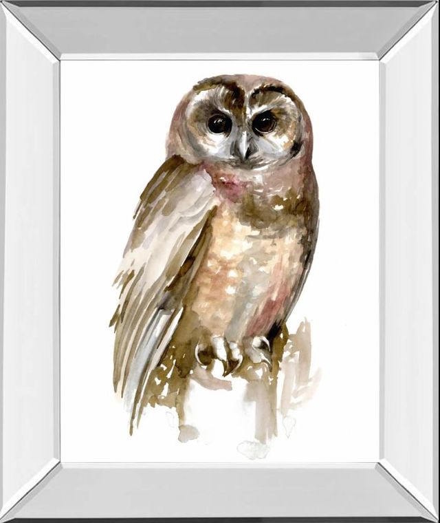 Classy Art Watercolor Owl II by Jennifer Paxton Parker Mirror Framed Wall Art-0