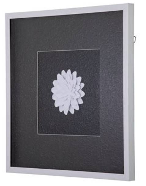 YHD Papayrus II Wall Art-1