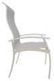 Telescope Casual Belle Isle Abalone/Desert Aluminum/Fabric Outdoor Sling Supreme Arm Chair with Laguna Rustic Polymer Arm Accent-2