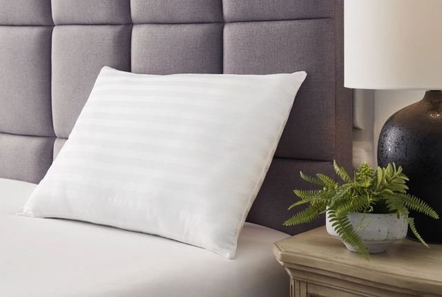 Sierra Sleep® by Ashley® Zepher 2.0 Set of 2 Cotton White Standard Pillows-3