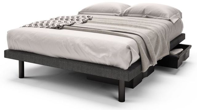 Beaudoin Reflexx Motion 59 13" Queen Platform Bed with 2 Drawers-1