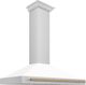 ZLINE 48" Autograph Edition White Matte Wall Mounted Range Hood-1