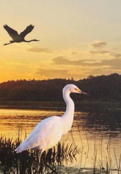 Stylecraft Sunset Marsh I Wall Art-1